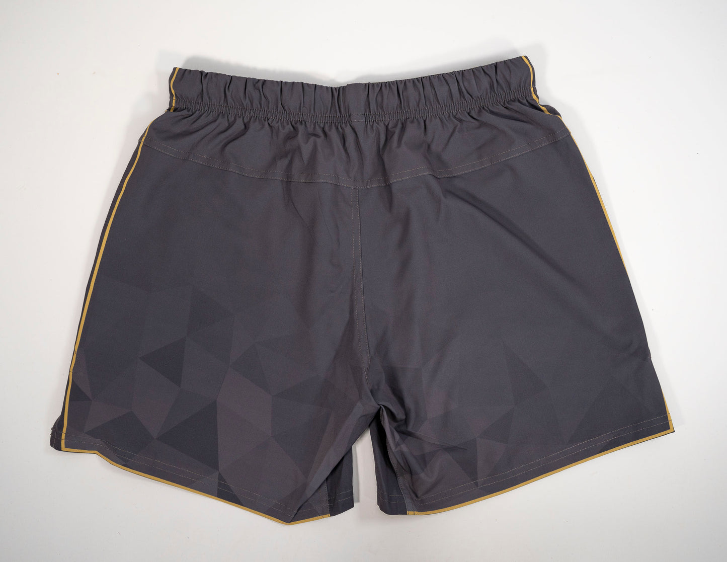 HYPNYX Prism Fight Shorts