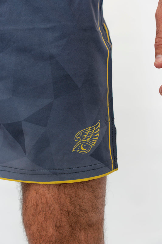 HYPNYX Prism Fight Shorts