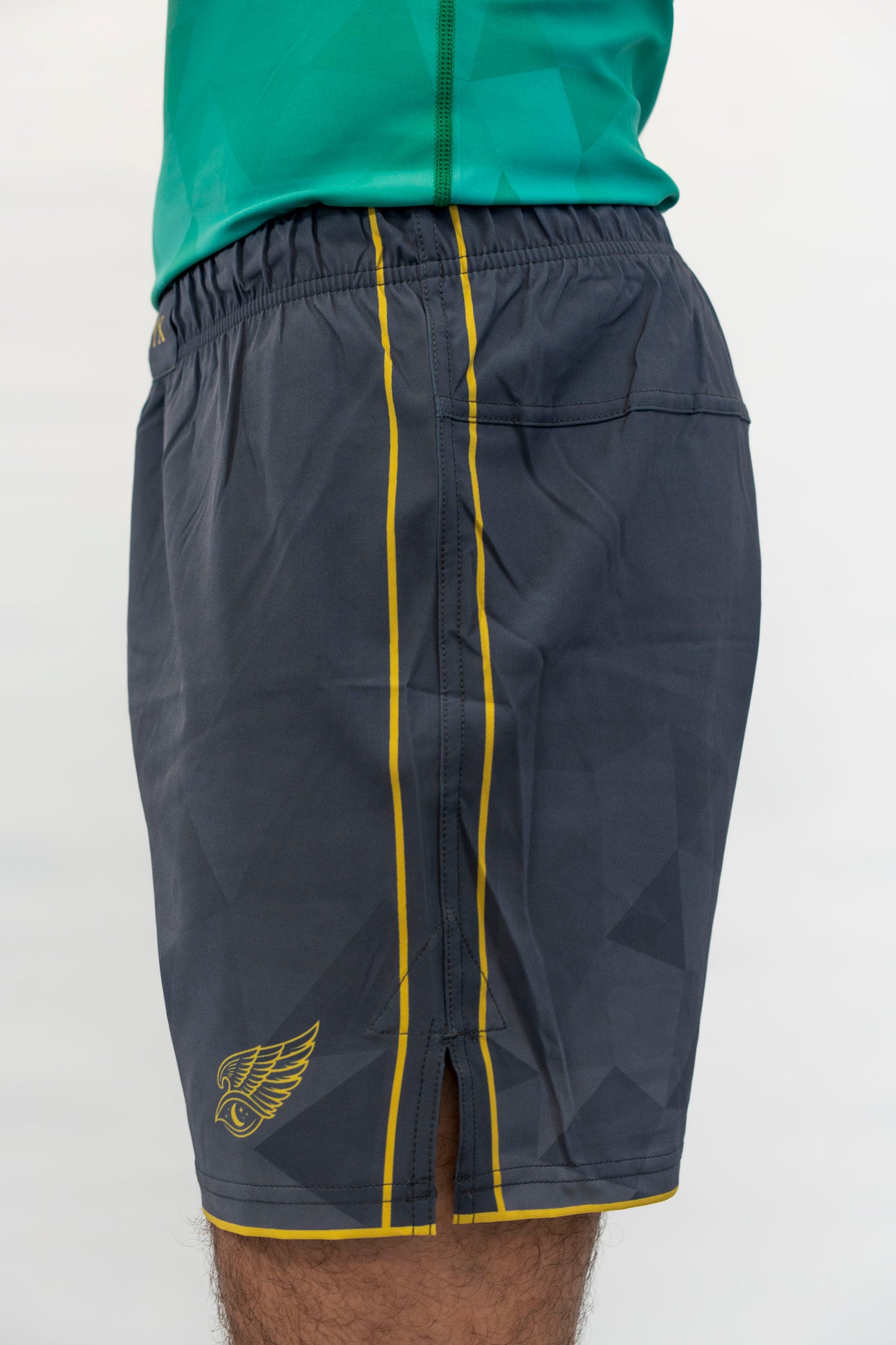 HYPNYX Prism Fight Shorts