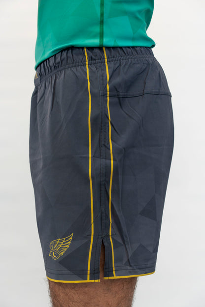 HYPNYX Prism Fight Shorts